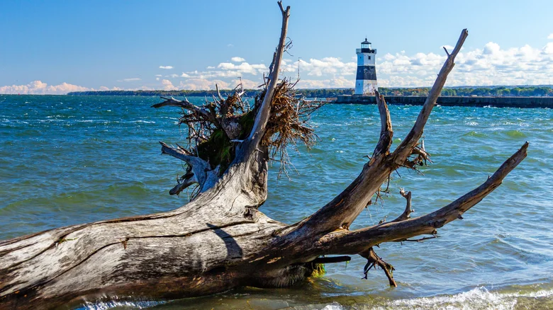 Presque Isle State Park