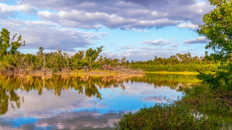 The picturesque Eco Pond