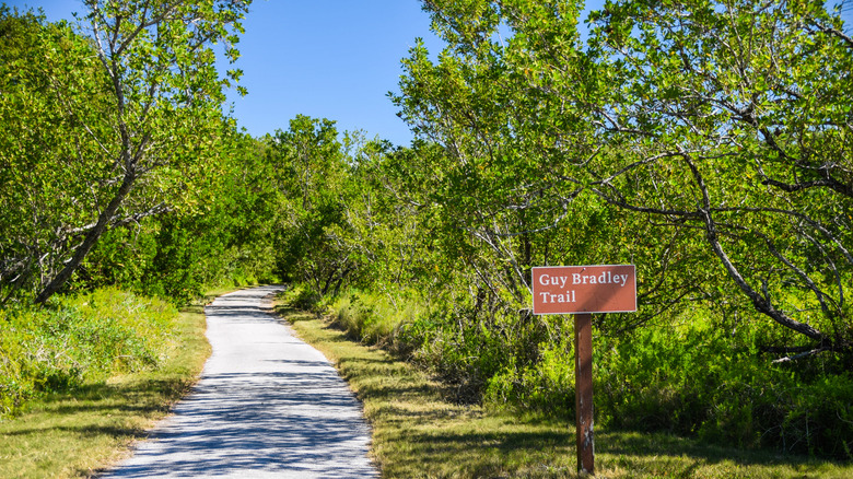 The lush trailhead for the Guy Bradley Trail