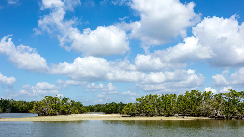 View of Ten Thousand Islands National Wildlife Refuge