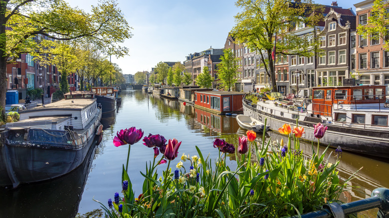 Traditional Dutch architecture and canals in the Jordaan district, Amsterdam, Netherlands