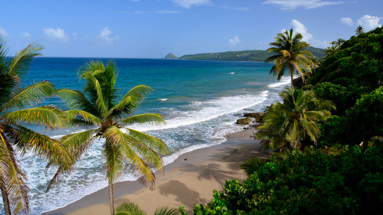 View of the Grand Anse Beach in Grenada from above
