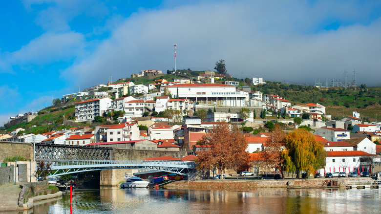 View of Viana de Castelo over a river