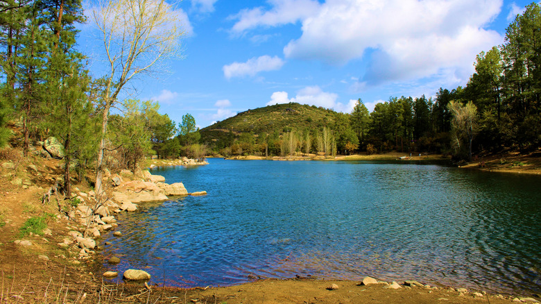 Trees surround Goldwater Lake near Prescott, Arizona