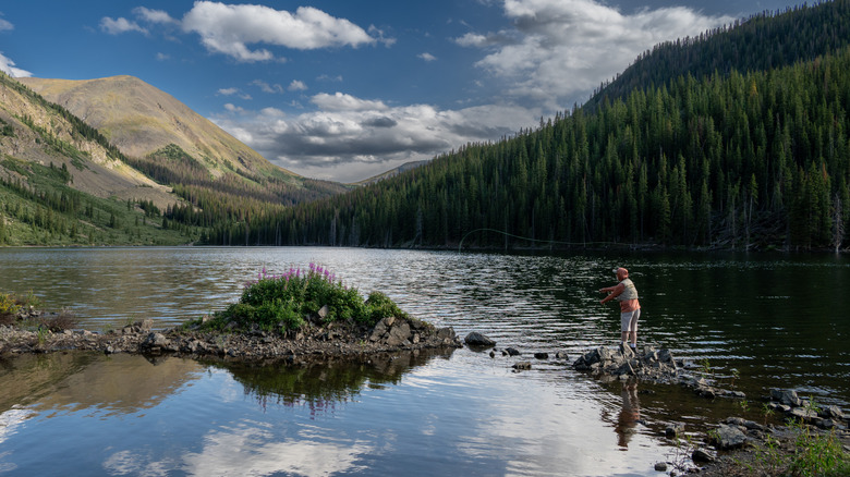 Fly fisherman and Maroon Bells wildflowers around Mirror Lake in Taylor Park, Colorado