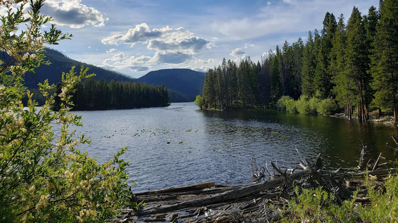 Mussigbrod Lake in Montana on a sunny day with clouds in the sky