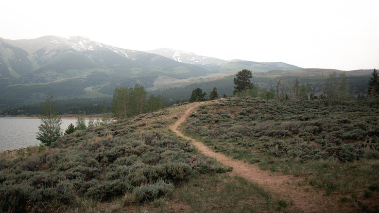 A walking path in Twin Lakes, Colorado, near the water