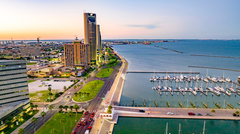 Aerial view of Corpus Christi skyline and marina