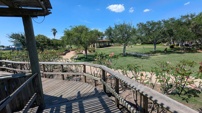 Wooden walkway through South Texas Botanical Gardens