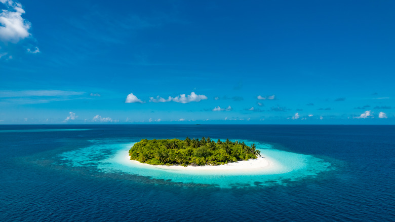 Tropical island in the sea