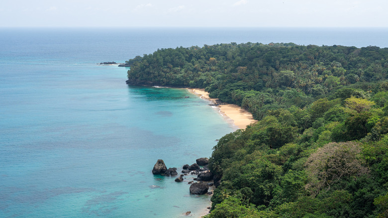 Rainforest bordering the beach and water of Príncipe, São Tomé & Príncipe