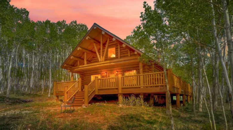 Exterior view of an apline chalet in a birch tree forest