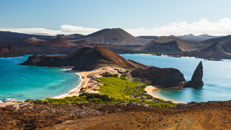 Galapagos Island beach