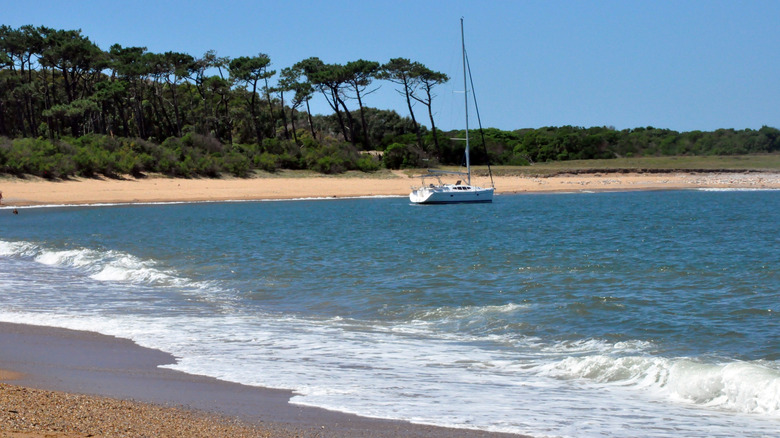 beach on Isla Gorriti