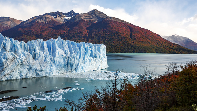 glacier in Tierra del Fuego