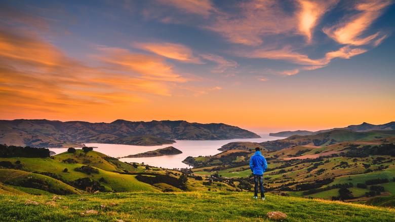 Solitary person gazing out at a bay and hilly landscape with the sun setting, New Zealand