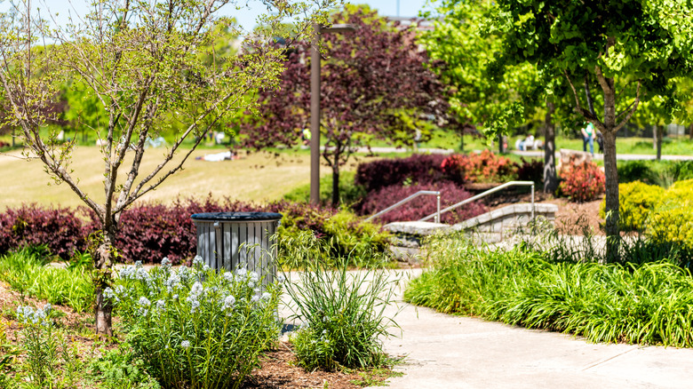 The Historic Fourth Ward Park in Atlanta