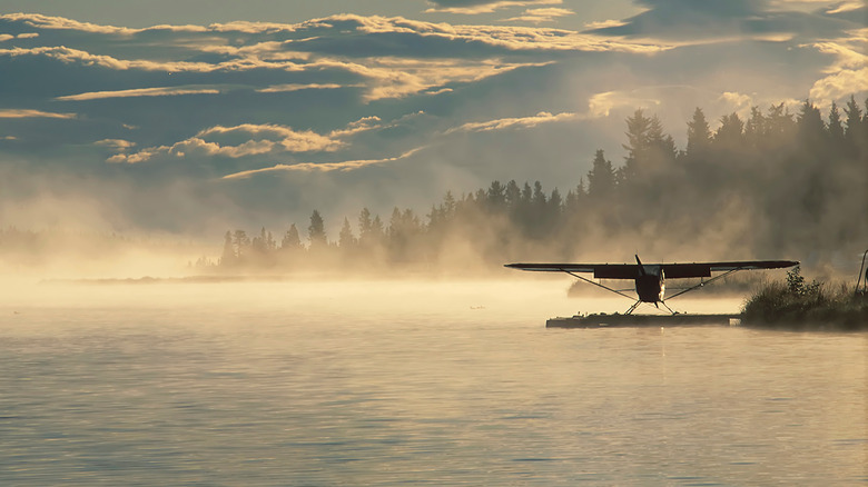 A sea plane floats on foggy water by a forested Alaskan coast