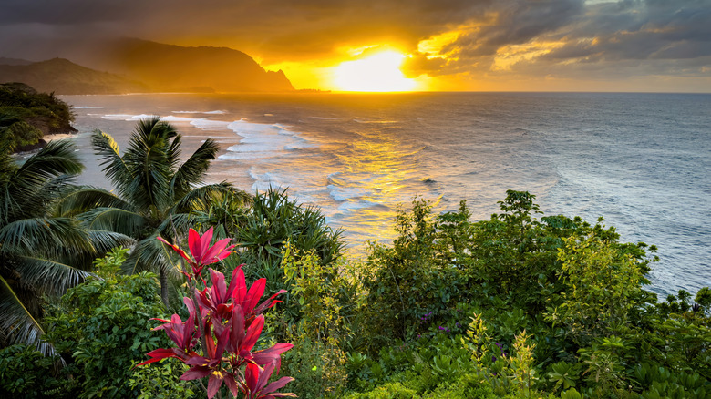 Flowers and greenery line a Hawaiian beach at sunset