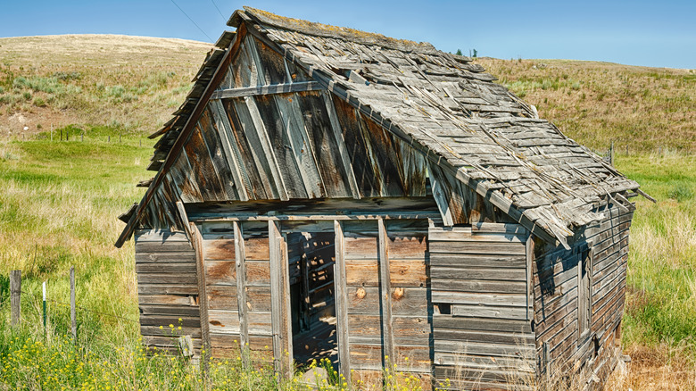 Slanted abandoned wooden barn in a field in Molson, Washington