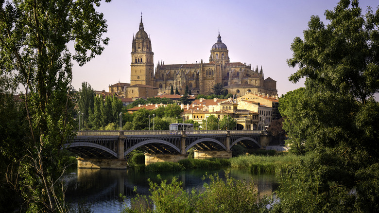 Salamanca Cathedral in Spain seen from the river