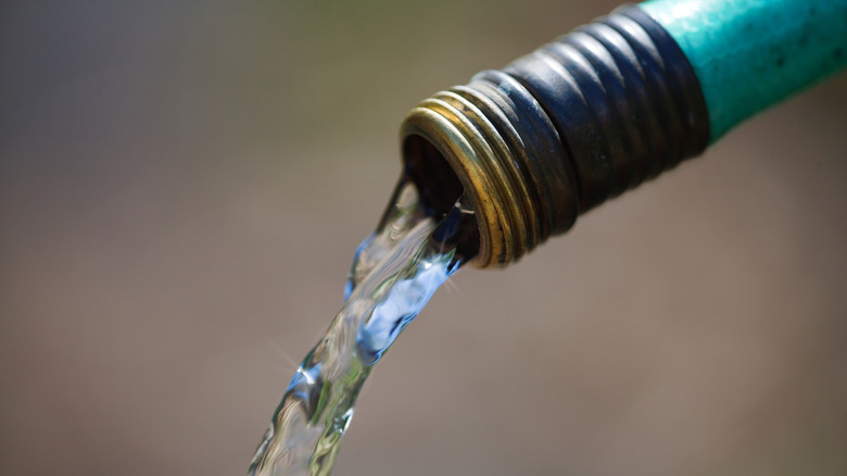 Water coming out of a hose