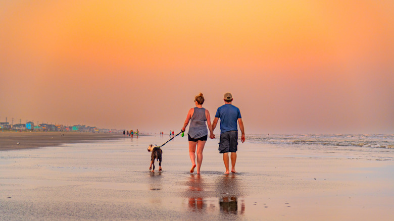 5 Best Beach Resorts in Texas by Reviews