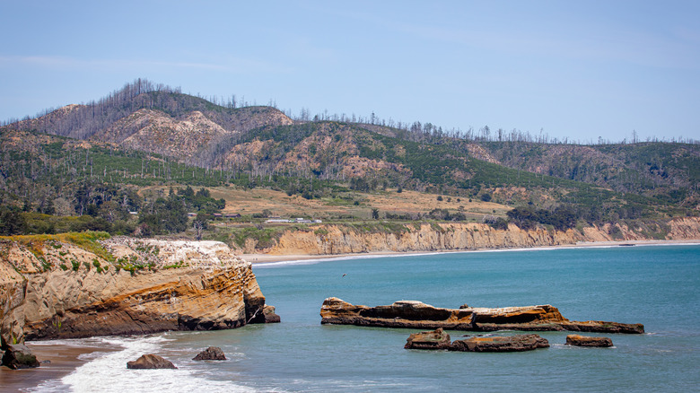 The coves and rocks of the Ano Nuevo State Park