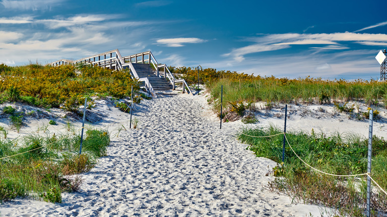 Boardwalk leading to Crane Beach in Ipswich, Massachusetts