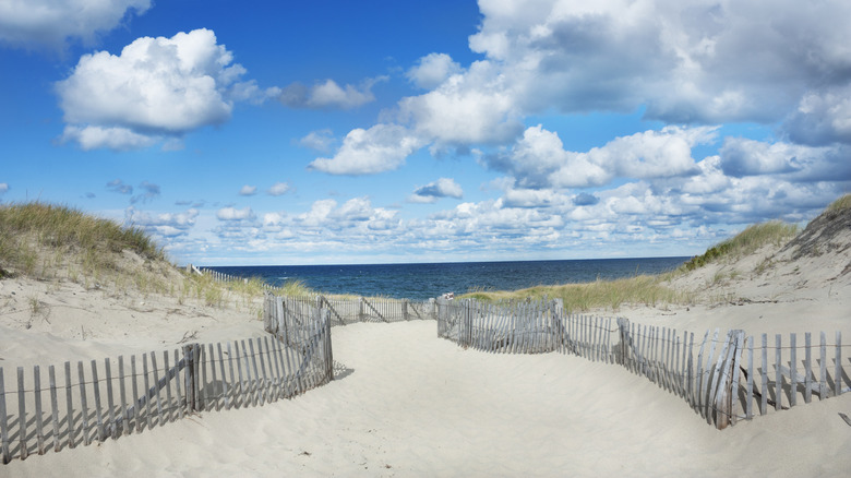 Path to to Race Point Beach in Massachusetts