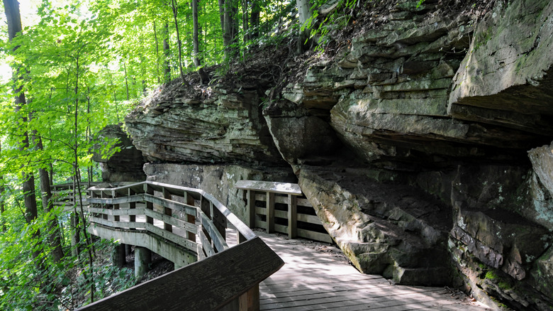 Cuyahoga National Park Brandywine Falls Trail