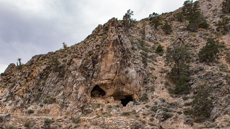 The entrance to Mitchell Caverns