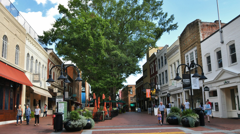 Street in downtown Charlottesville