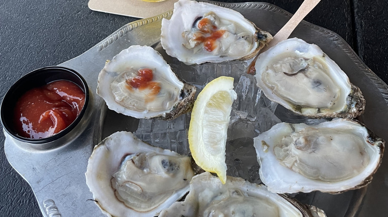 Raw oysters from the Virginia shore