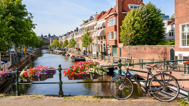Bikes rest against railings on a bridge in The Hague