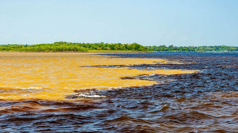 Two-colored Meeting of Rivers in Manaus, Brazil, with rainforest in distance