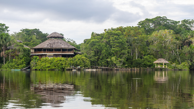 An eco-lodge by the river in the Yasuni National Park, Ecuador