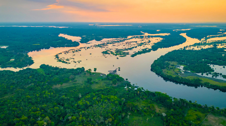 Aerial view of sunset over Amazon River and rainforest in Brazil