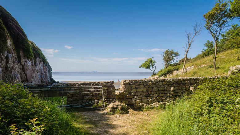 The coast at Gibraltar Farm campsite in the Arnside and Silverdale National Landscape, Lancashire