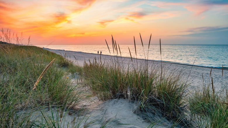 Explore Indiana Dunes National Park near Porter, Indiana