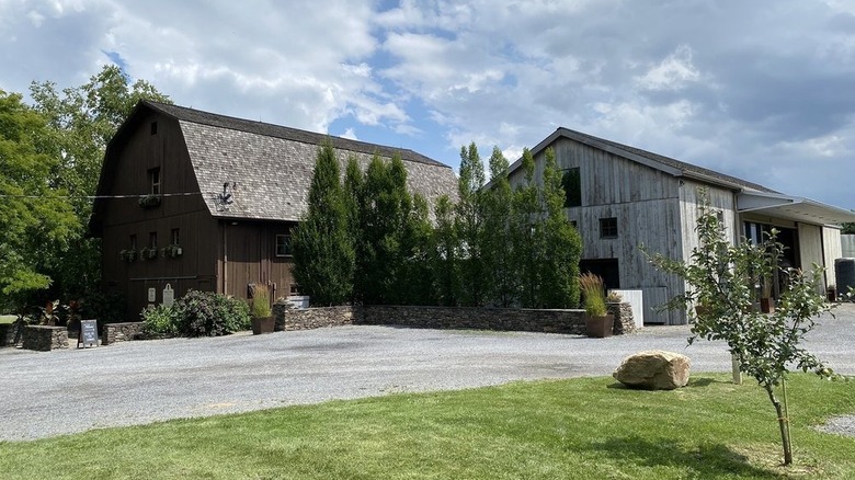 Barns and building at Hermann J. Wiemer Vineyard in the Finger Lakes region of New York
