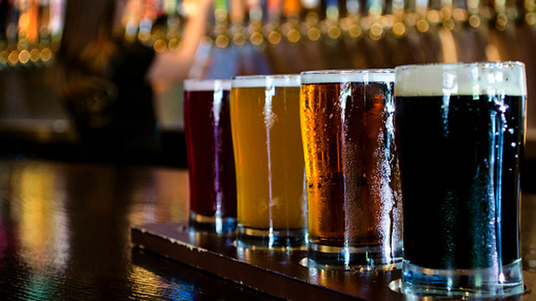Line of glasses full of beer at craft pub