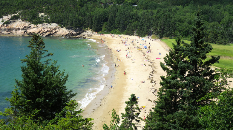 View of Sand Beach in Acadia National Park on Mount Desert Island, Maine