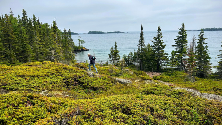 A man hiking on Isle Royale in Michigan