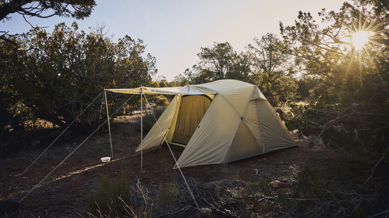 A tent in a meadow at sunrise