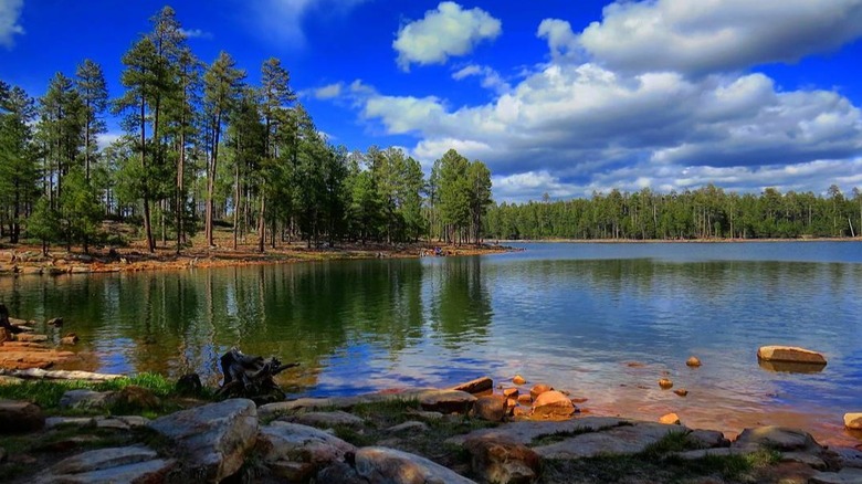 The calm Willow Springs Lake with rocky shore