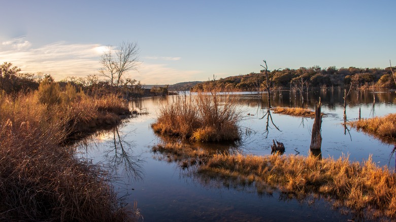 Golden-colored grass, native plants, and trees on a lake with the setting sun, Inks Lake State Park, Texas