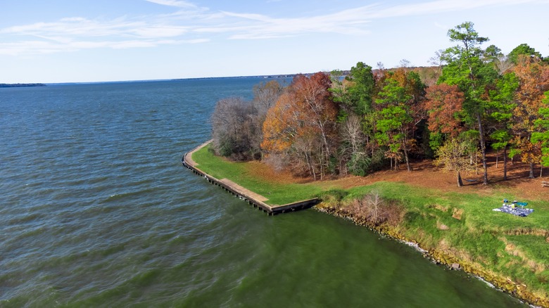 Aerial view of Lake Livingston State Park, Texas, USA