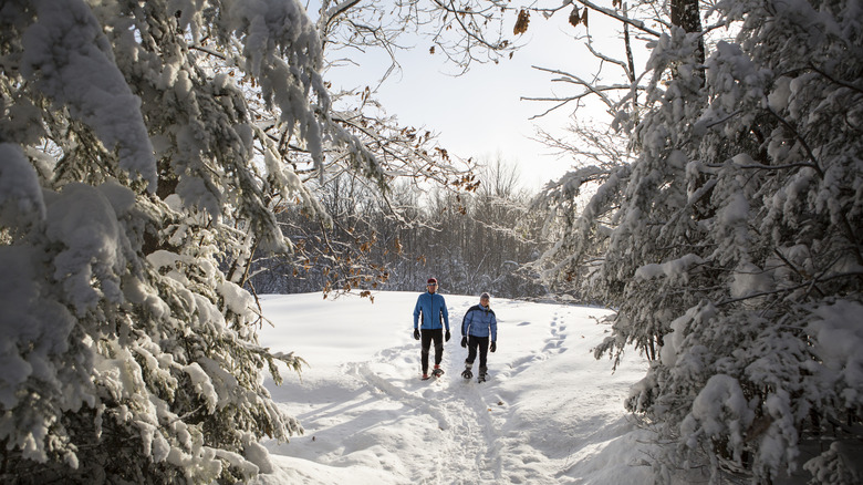 A couple snowshoeing in a small field with deep snow and snowy trees