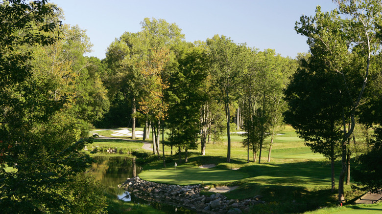 A wooded golf course in Zionsville, Indiana on a clear sunny day